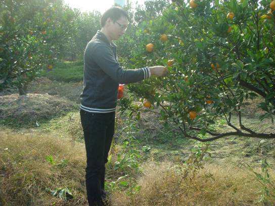 點擊新窗口打開大圖